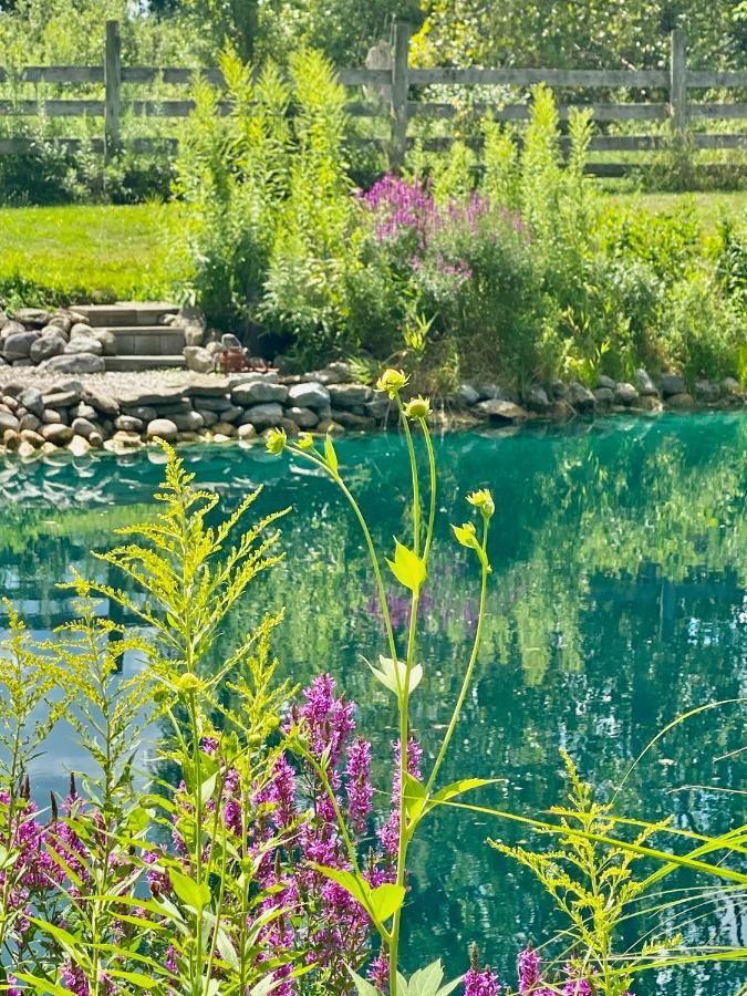 The Bella Ella Bed And Breakfast Canandaigua Bagian luar foto