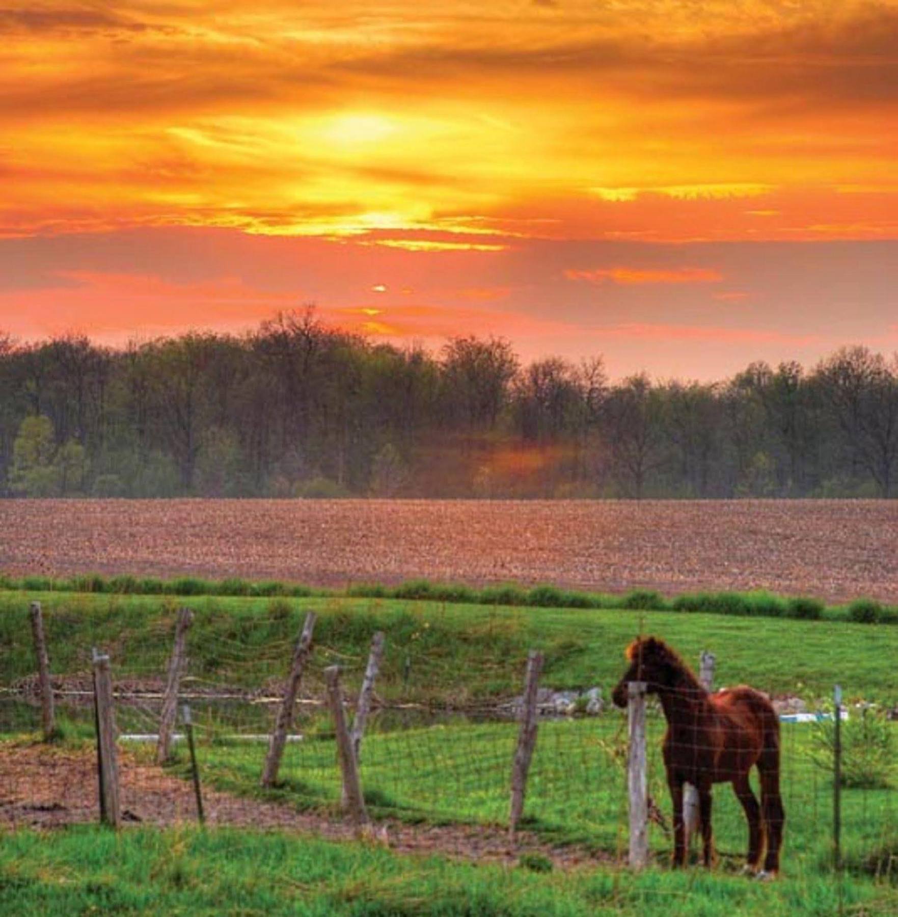 The Bella Ella Bed And Breakfast Canandaigua Bagian luar foto